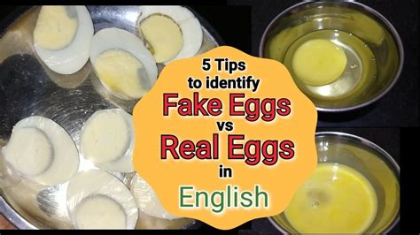 i was literally holding a fake egg while watching|real vs fake eggs.